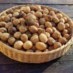 Jagen & verzamelen Paleo ten top!