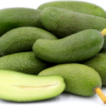 Pitloze avocado