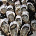 Culinaire reistip – Bezoekerscentrum Fines de claires oesters