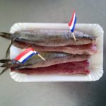 Hollandse nieuwe