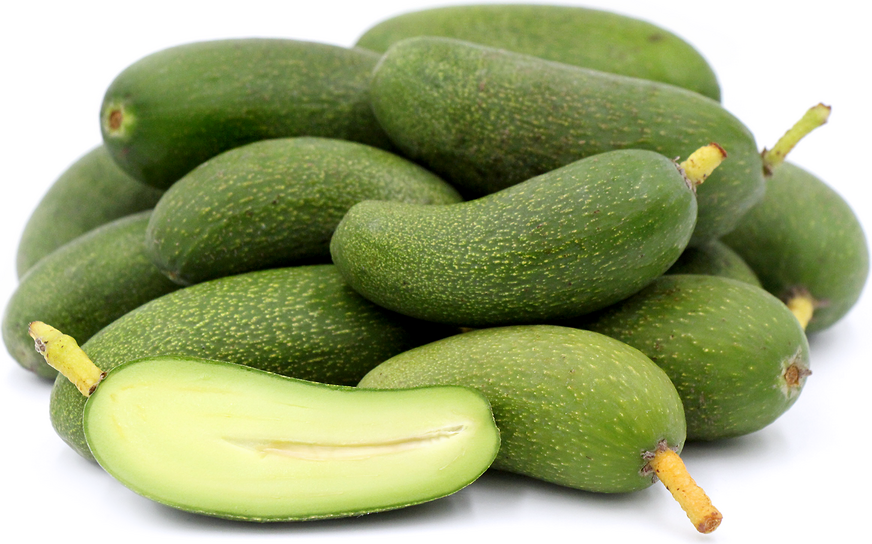 pitloze avocado
