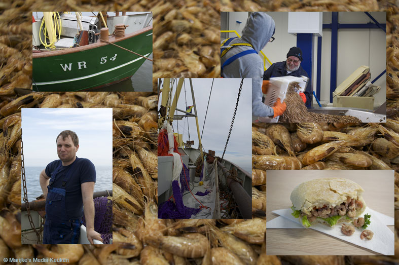 Duurzame Noordzeegarnalen met MSC-keurmerk