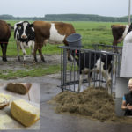 Op bezoek bij Buurvrouw Durkje