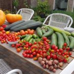 Klimaat in de keuken