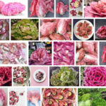 Laatste trend; millennial pink lettuce