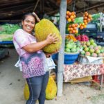 Jackfruit