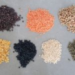 Linzen in kleuren en maten